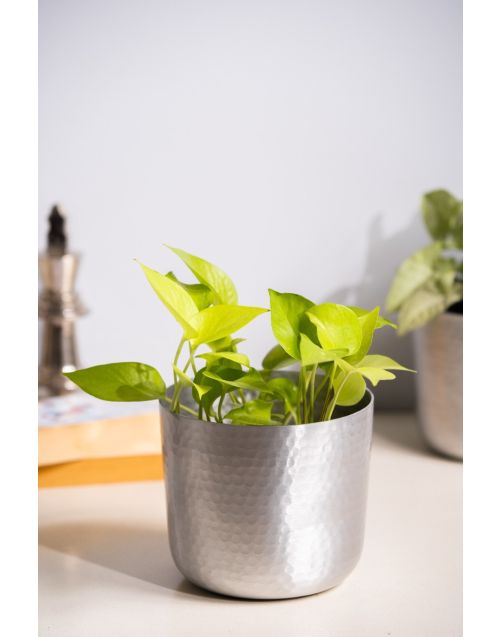 Cool Hammered Planter