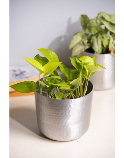 Cool Hammered Planter