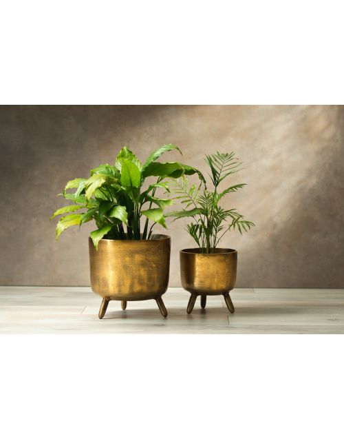 Rustic Robo Planters 