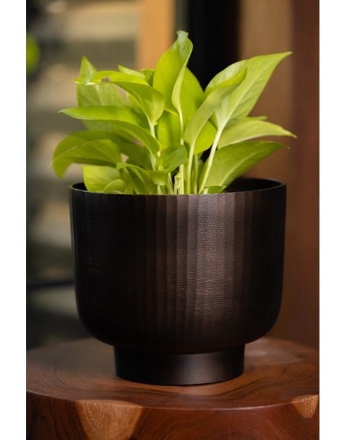 Fluted Chocolate Planter Medium