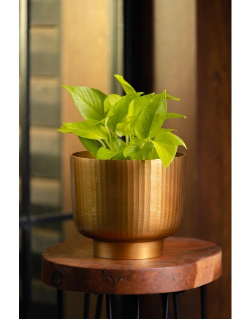 Fluted Planter Medium (Golden)