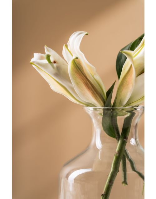 Lily Clear Glass Vase