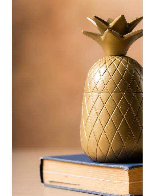 Pineapple Treasure Box (Set of 02)