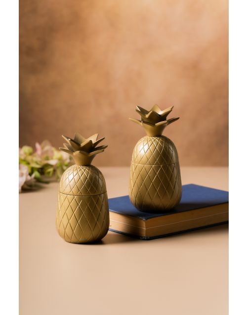 Pineapple Treasure Box (Set of 02)