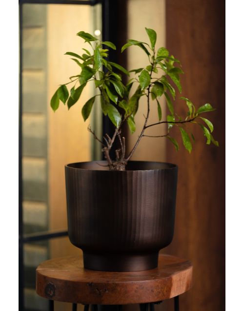 Fluted Chocolate Planter Large
