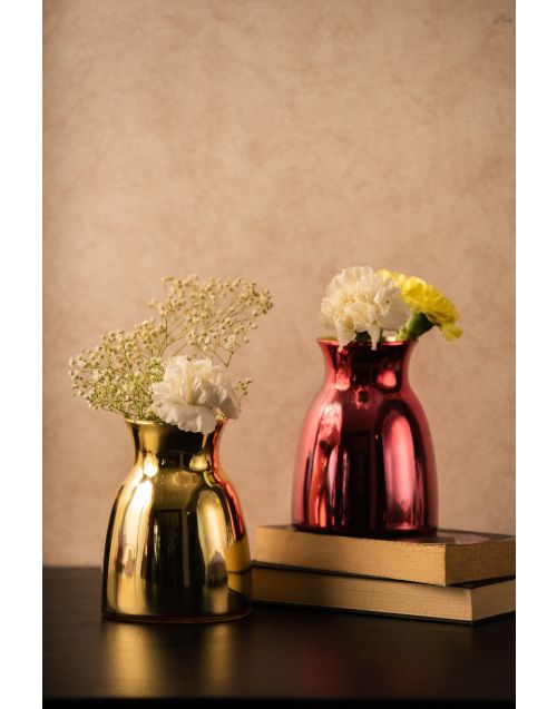 Scarlet Glass Vase (Set of 02)
