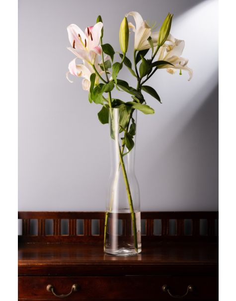 Long Clear Glass Carafe Vase | Buy Vases Online | HomeDecor India